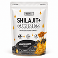 Shilajit