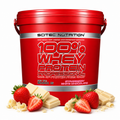 Scitec 100% Whey Professional 5000 gram